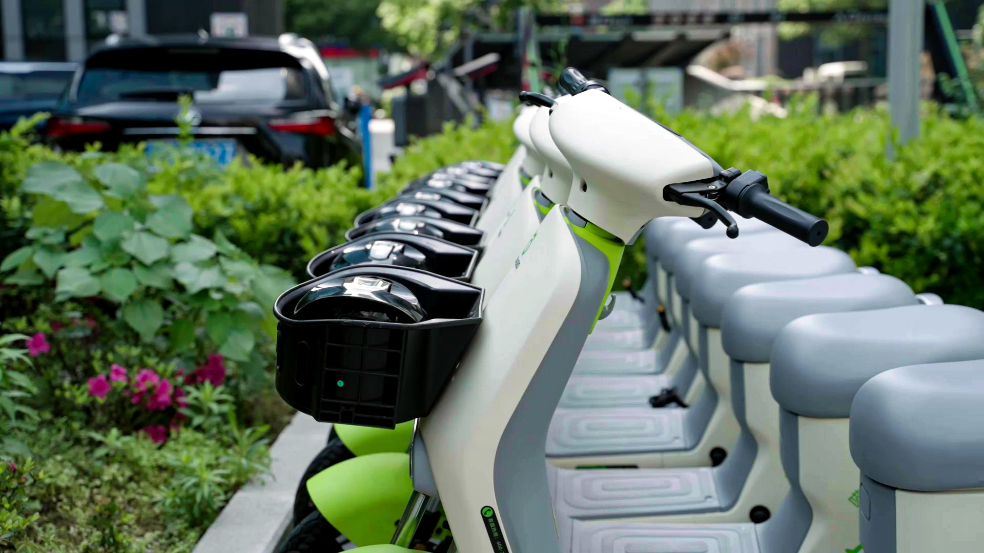 有序停放的共享電動車